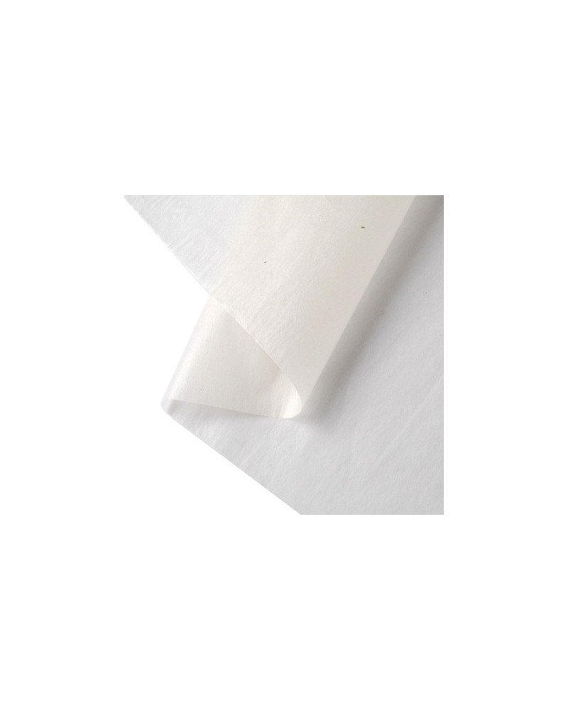 raket Bladeren verzamelen alledaags Japanese Gampi silk tissue paper