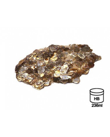 Gold Mica Flake (Large) 4078 S5