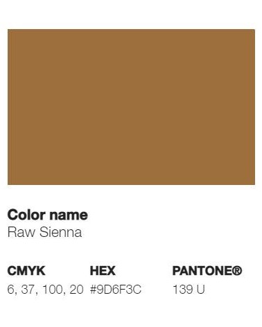 300 Shades of Brown with Names, Hex, RGB, & CMYK Codes