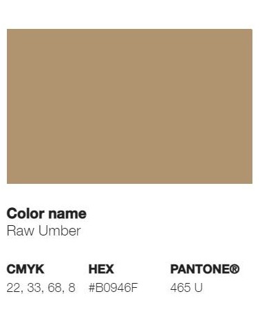 Pantone 465U - Terre d'Ombre Brute