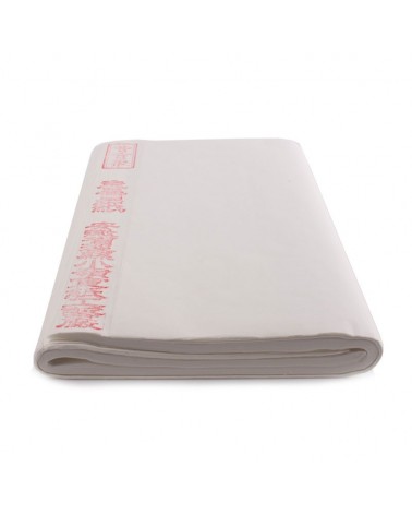 Lot de 5 feuilles Xuan