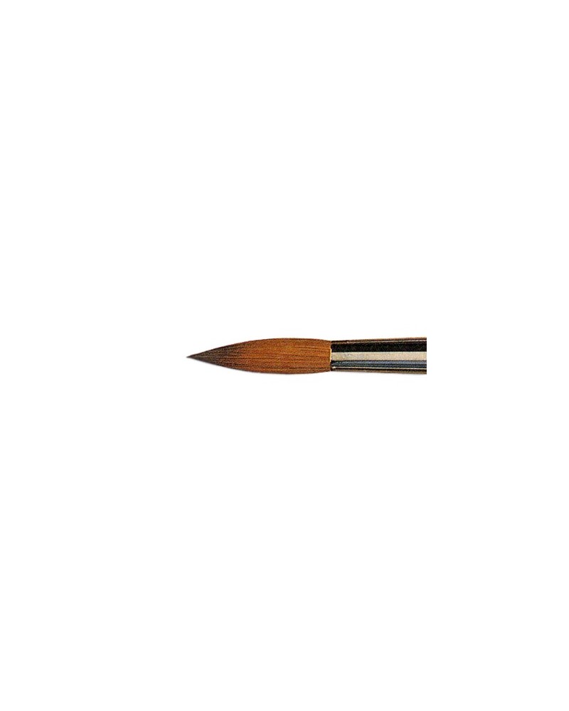 RAPHAEL Kolinsky Sable Fine Point Round Brush 8404, Precision and Full  Belly for A High Paint Load, Superior Resiliency